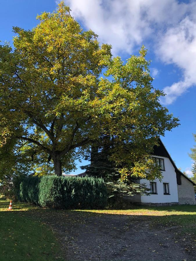 Útulná chaloupka v Krkonoších Vila Vysoké nad Jizerou Exterior foto